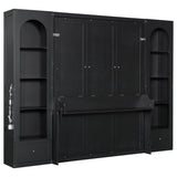 Queen Size Murphy Platform Bed, Space-Saving Foldable Cabinet Bed with Shelf,Drawers & LED, Black