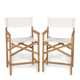 Outdoor Acacia Wood Barstool (Set of 2), Patio High-Top Dining Chairs with Water-Resistant Cushions, Natural Finish