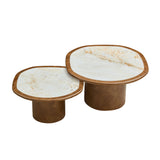 2pcs Coffee Table with Sintered Stone Tabletop, Rounded Sofa Side Table Irregular Center Table End Table for Living Room, Walnut