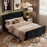 Velvet Upholstered Bed Frame with Curved Headboard, Button Tufted Sleigh Platform Bed for Teens/Adults