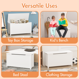 Kids Wooden Toy Box Storage with Safety Hinged Lid for Ages 2+